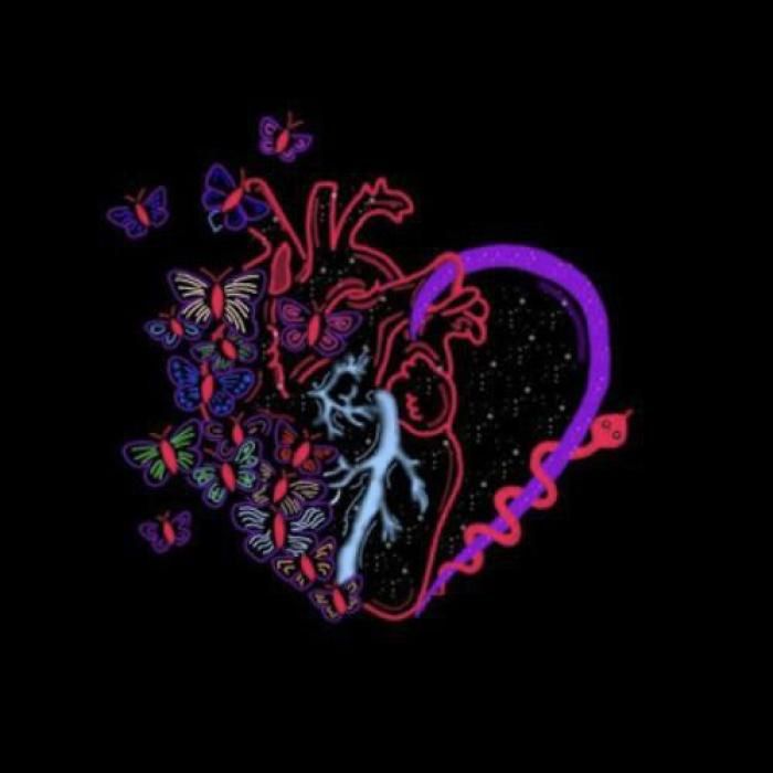 آهنگ فونتیک و تیت  پروانه