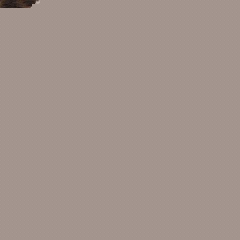 آهنگ مرد نیما وی جی 