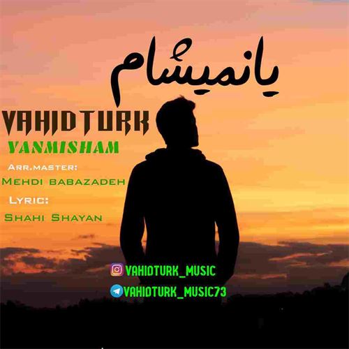 آهنگ  یانمیشام وحید تورک