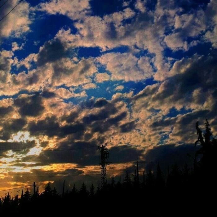دانلود آهنگ منو ببخش این دیوونه شبارو داره تو خیابون به یاد تو بغل میزنه