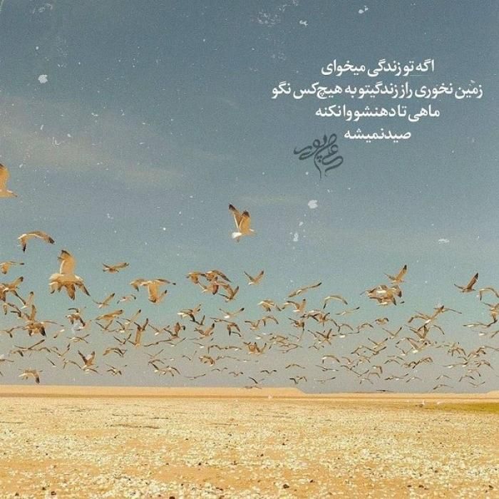 دانلود آهنگ ناز کده بیا موها ره باز کده بیا