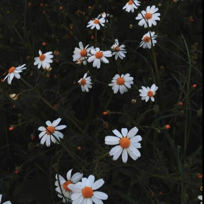 دانلود آهنگ نمیخوام اصن بهم خوش بگذره به خونه و تنهایی چسبیدم