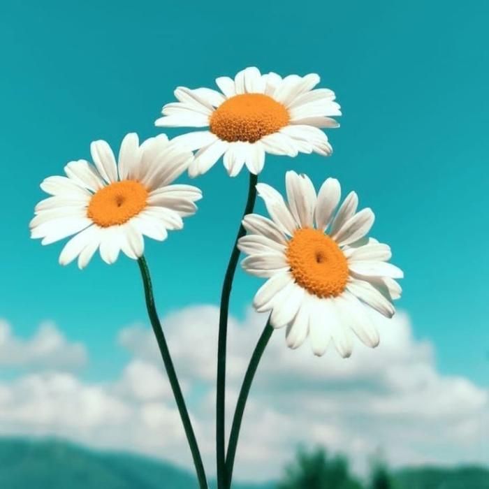 دانلود آهنگ همه چی قبل این که برسیم ردیفه اینجا ایستگاه میشه اگه باشه یکی غریبه
