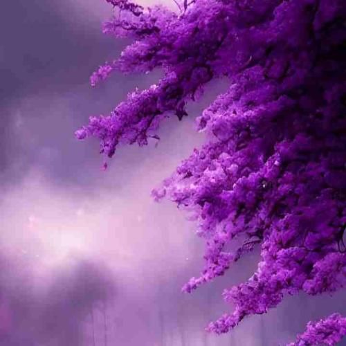 دانلود آهنگ نازتو میخرم تمام میشه مگه این آدما بنظر نیان