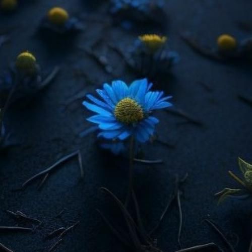 دانلود آهنگ ساقی بازم می بده نگو بسه هی بده پیمونه هامو نشمار با صدای زن