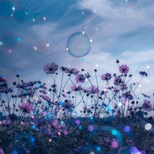 دانلود آهنگ تو به جای منم داری زجر میکشی یکی عاشقته که