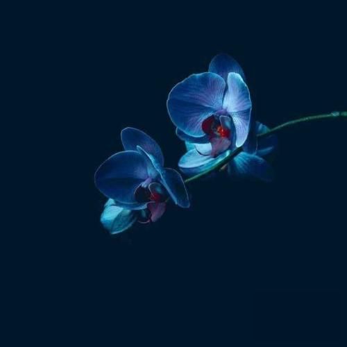 دانلود آهنگ باز آمد بوی گند مدرسه (ریمیکس اینستایی)