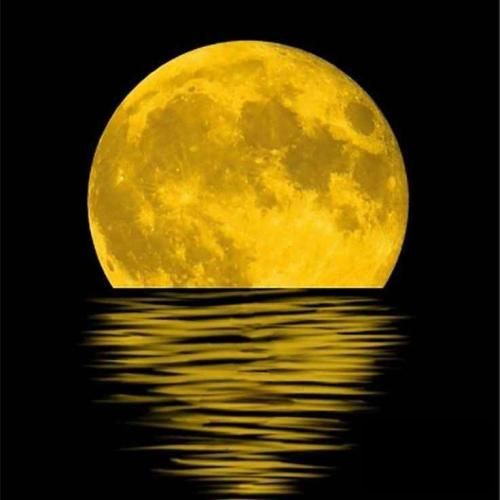 دانلود آهنگ ﺑﺸﻴﻨﻮ راحت ﺑﺎﻗﻴﻪ زخم زﺑﻮﻧﺎﺗﻮ بزن نیستی با خودشم این بچه
