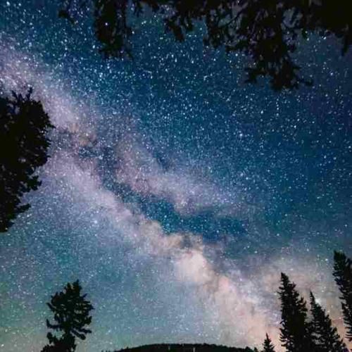 دانلود آهنگ شهر عین رزیدنت ایول زر میزنه پرزیدنت