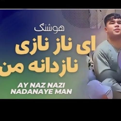 هوشنگ جان آی ناز نازی نازدانه من
