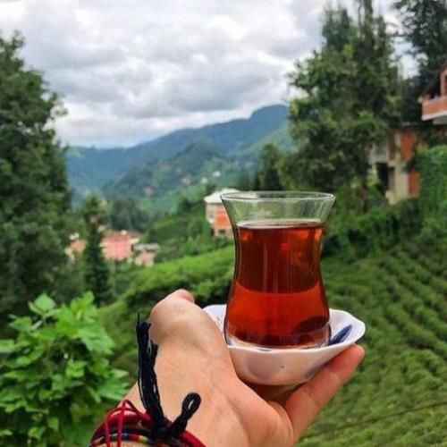  تو یه لحظه این همه عشق بین ما یهویی چشم خورد با صدای ز