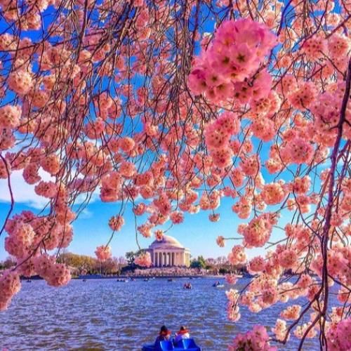 دیگه با چه غروری بگم خیلی صبورم با صدای پسر بچه