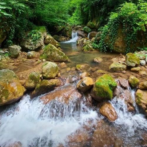  جز غم تو هیچیو حس نمیکنم من کجای قصه ی توام با صدای دختر