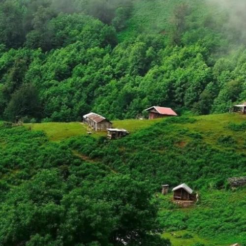 اینا الکل نیست بابا یه چیزایی توش قاطیه