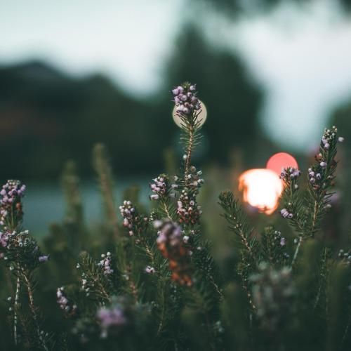 دانلود آهنگ حالم مثل قبلا نی از دل من رفتی