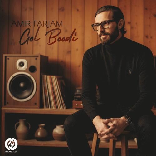 دانلود آهنگ گل بودی از امیر فرجام