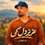 دانلود آهنگ جدید عزیز دل کی از شاهان