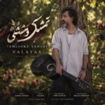 دانلود آهنگ جدید تمشک وحشی از والایار